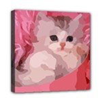 pink fluffy kitten Mini Canvas 8  x 8  (Stretched)