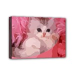 pink fluffy kitten Mini Canvas 7  x 5  (Stretched)