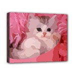 pink fluffy kitten Canvas 10  x 8  (Stretched)