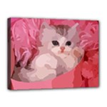 pink fluffy kitten Canvas 16  x 12  (Stretched)