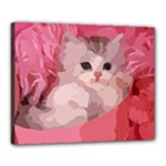 pink fluffy kitten Canvas 20  x 16  (Stretched)