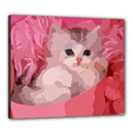 pink fluffy kitten Canvas 24  x 20  (Stretched)