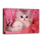 pink fluffy kitten Canvas 18  x 12  (Stretched)