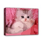 pink fluffy kitten Deluxe Canvas 14  x 11  (Stretched)