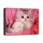 pink fluffy kitten Deluxe Canvas 16  x 12  (Stretched) 