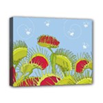 Blue Fly Trap Canvas 10  x 8  (Stretched)