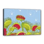 Blue Fly Trap Canvas 18  x 12  (Stretched)