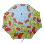 Blue Fly Trap Folding Umbrella