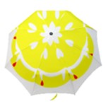 Vampire Emoji Dracula Folding Umbrella