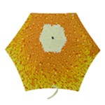 Beer snob Mini Folding Umbrella