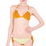 Beer snob Bikini Set