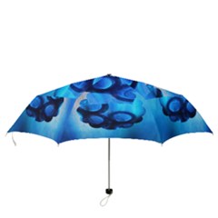 Folding Umbrella 