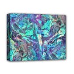 Iridescent Deluxe Canvas 14  x 11  (Stretched)