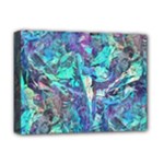 Iridescent Deluxe Canvas 16  x 12  (Stretched) 