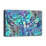 Iridescent Deluxe Canvas 18  x 12  (Stretched)