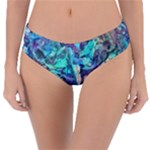 Iridescent Reversible Classic Bikini Bottoms