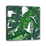 Banana Leaf Mini Canvas 6  x 6  (Stretched)