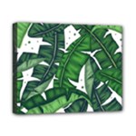 Banana Leaf Canvas 10  x 8  (Stretched)