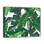 Banana Leaf Canvas 14  x 11  (Stretched)