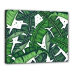 Banana Leaf Canvas 20  x 16  (Stretched)