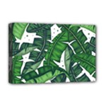 Banana Leaf Deluxe Canvas 18  x 12  (Stretched)