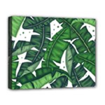 Banana Leaf Deluxe Canvas 20  x 16  (Stretched)