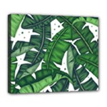 Banana Leaf Deluxe Canvas 24  x 20  (Stretched)