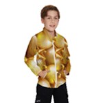 gold christmas ornaments Windbreaker (Kids)