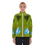 colorblock green hanukkah Winter Jacket