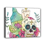 Tequila Sugar Skull Canvas 10  x 8  (Stretched)