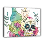 Tequila Sugar Skull Canvas 16  x 12  (Stretched)