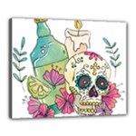 Tequila Sugar Skull Canvas 20  x 16  (Stretched)