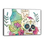 Tequila Sugar Skull Canvas 18  x 12  (Stretched)