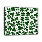 Lucky Clover Shamrock Canvas 10  x 8  (Stretched)