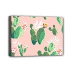 Pink Cactus flower Mini Canvas 7  x 5  (Stretched)