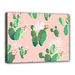 Pink Cactus flower Canvas 16  x 12  (Stretched)