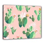 Pink Cactus flower Canvas 24  x 20  (Stretched)