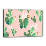 Pink Cactus flower Canvas 18  x 12  (Stretched)