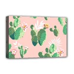 Pink Cactus flower Deluxe Canvas 18  x 12  (Stretched)