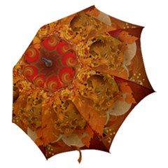 Hook Handle Umbrella (Large) 