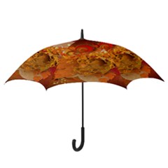 Hook Handle Umbrella (Large) 