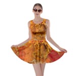 Fall Art Skater Dress