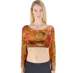 Long Sleeve Crop Top 