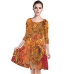 Fall Art Quarter Sleeve Waist Band Dress