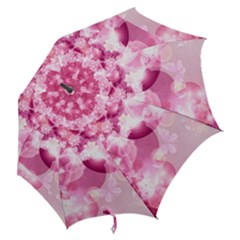 Hook Handle Umbrella (Medium) 