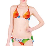 Design Art (design 28) Classic Bikini Set