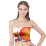 Design Art (design 28) Tube Top