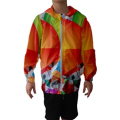 Kids  Hooded Windbreaker 