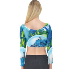 Long Sleeve Crop Top 