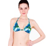 Design Art (design 25) Bikini Top